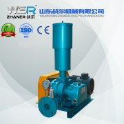 WSR-100羅茨風(fēng)機(jī)