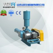 WSR-80羅茨風(fēng)機(jī)