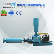 WSR-65羅茨風(fēng)機(jī)