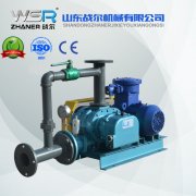 WSR-80沼氣增壓羅茨鼓風(fēng)機(jī)