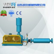 WSR-125化工行業(yè)專用羅茨鼓風(fēng)機(jī)