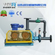 WSR-80石油行業(yè)專(zhuān)用羅茨風(fēng)機(jī)