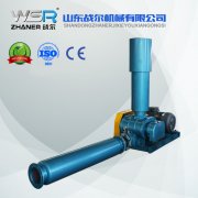 WSR-125電力行業(yè)專用羅茨鼓風(fēng)機(jī)